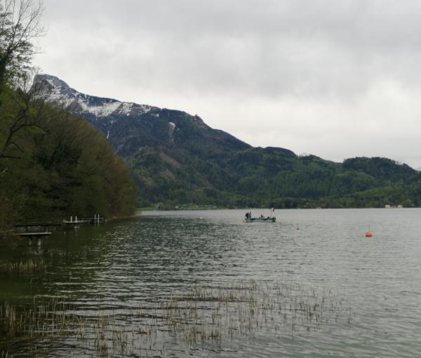 Mooswinkel Grabungsende